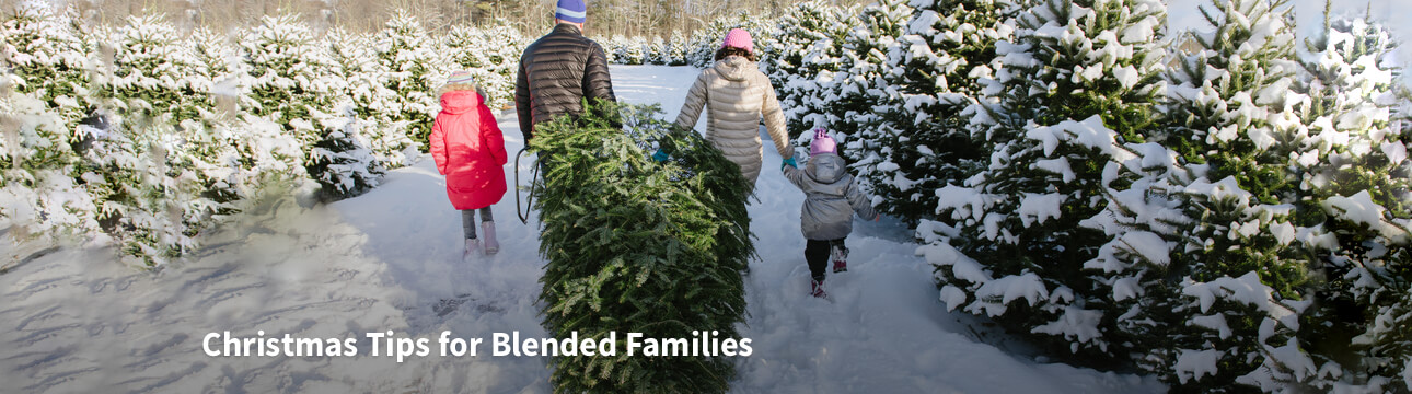 Christmas Tool - Blended Family